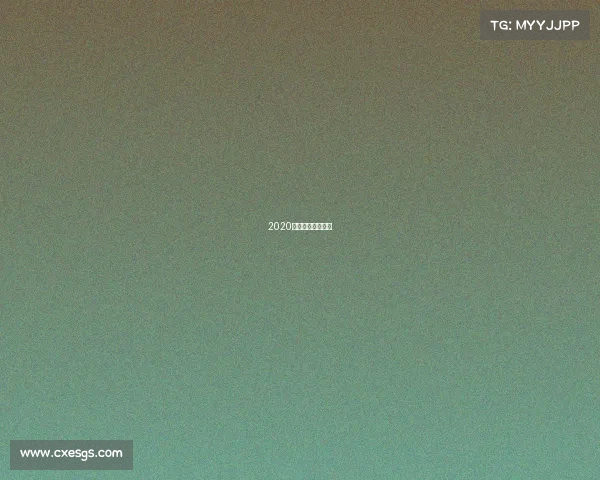 2020珠海赛车比赛日程