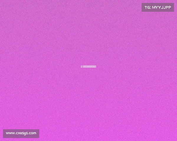 棋 赛事管理、棋类赛事